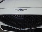 Thumbnail of 2023 Uyuni White Genesis G70