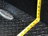 Thumbnail of 2022 Granite Crystal Metallic Clearcoat Chrysler Voyager