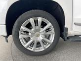 Thumbnail of 2023 Pearl Chevrolet Silverado 1500