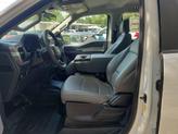 Thumbnail of 2025 White Ford F-150