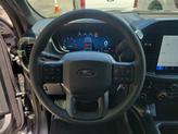 Thumbnail of 2025 Gray Ford F-150