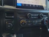 Thumbnail of 2025 White Metallic Ford F-150