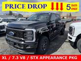 Thumbnail of 2025 Agate Black Metallic Ford F-350
