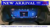Thumbnail of 2024 Black Metallic Ford F-150
