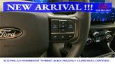 Thumbnail of 2024 Black Metallic Ford F-150