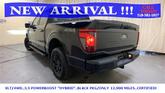 Thumbnail of 2024 Black Metallic Ford F-150