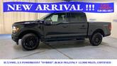 Thumbnail of 2024 Black Metallic Ford F-150