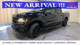 Thumbnail of 2024 Black Metallic Ford F-150