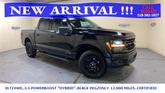 Photo of 2024 Black Metallic Ford F-150