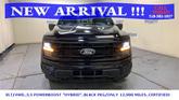 Thumbnail of 2024 Black Metallic Ford F-150