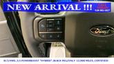 Thumbnail of 2024 Black Metallic Ford F-150