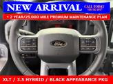 Thumbnail of 2025 Blue Ford F-150