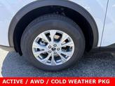 Thumbnail of 2025 Oxford White Ford Escape