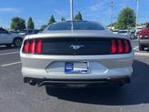 Thumbnail of 2019 Ingot Silver Ford Mustang