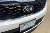 Thumbnail of 2019 Snow White Pearl Kia Sorento