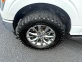 Thumbnail of 2021 White Ford F-150