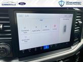 Thumbnail of 2025 Oxford White Ford F-150