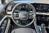 Thumbnail of 2023 Panthera Metal Kia Carnival