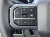 Thumbnail of 2025 Carbonized Gray Ford F-150