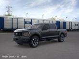 Photo of 2025 Agate Black Ford F-150