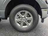 Thumbnail of 2025 Carbonized Gray Ford F-150