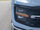 Thumbnail of 2025 Space Gray Ford F-150