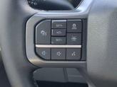 Thumbnail of 2025 Space Gray Ford F-150