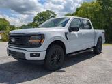 Thumbnail of 2025 Space Gray Ford F-150