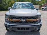 Thumbnail of 2025 Space Gray Ford F-150