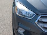 Thumbnail of 2019 Magnetic Ford Escape