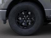 Thumbnail of 2025 Carbonized Gray Ford F-150 Lightning
