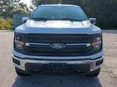 Thumbnail of 2025 Space Gray Ford F-150