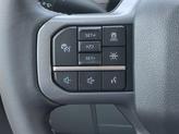 Thumbnail of 2025 Space Gray Ford F-150