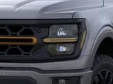 Thumbnail of 2025 Carbonized Gray Ford F-150