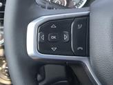 Thumbnail of 2025 Diamond Black RAM 1500