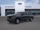 Photo of 2025 Agate Black Metallic Ford F-150