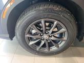 Thumbnail of 2026 Canyon Honda CR-V
