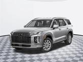 Photo of 2025 Typhoon Silver Hyundai PALISADE
