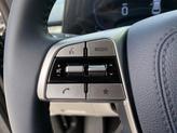 Thumbnail of 2025 Ebony Black Kia Telluride