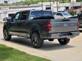 Thumbnail of 2025 Carbonized Gray Metallic Ford F-150