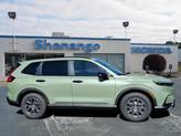 Thumbnail of 2026 Ash Green Honda CR-V Hybrid