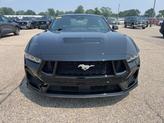Thumbnail of 2024 Shadow Black Ford Mustang