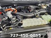 Thumbnail of 2024 Avalanche Ford F-150
