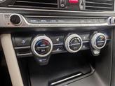 Thumbnail of 2019 Blue Genesis G70