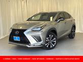 Photo of 2021 Atomic Silver Lexus NX 300