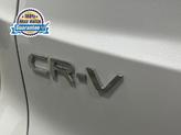 Thumbnail of 2026 Platinum White Pearl Honda CR-V