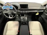 Thumbnail of 2026 Platinum White Pearl Honda CR-V