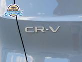 Thumbnail of 2026 Urban Gray Pearl Honda CR-V