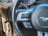 Thumbnail of 2023 Oxford White Ford Mustang