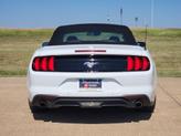 Thumbnail of 2023 Oxford White Ford Mustang